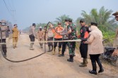Bupati Kasmarni Tinjau Karhutla Sungai Meranti, Turun Langsung Padamkan Api