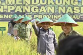 Wabup Bagus Santoso Tegaskan Komitmen Bengkalis Dukung Ketahanan Pangan Nasional