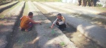 Bhabinkamtibmas Aiptu Subandi Bersama Petani Melakukan Pengecekan Pekarangan Pangan Bergizi