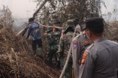 Hotspot Kampar Tinggal Dua Titik, 283 Personel Gabungan Intensifkan Pendinginan Karhutla
