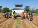 Kapolres Kuansing Dukung Penanaman Jagung Pipil di Seberang Taluk Hilir untuk Perkuat Ketahanan Pangan