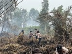 Bertambah, Polda Riau Kini Tangani 45 Kasus Karhutla, 49 Orang Jadi Tersangka